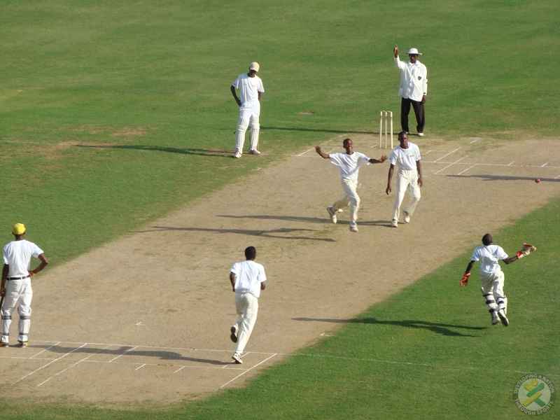 Primary/All-Age Cricket Competition