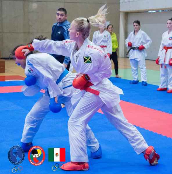 Seido Karate