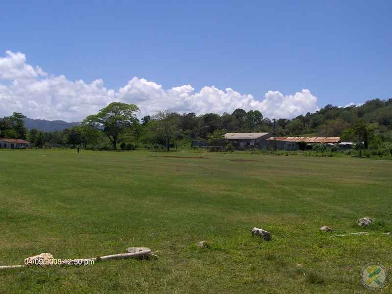 Fields